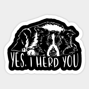 Border Collie I herd you herding dog saying Sticker